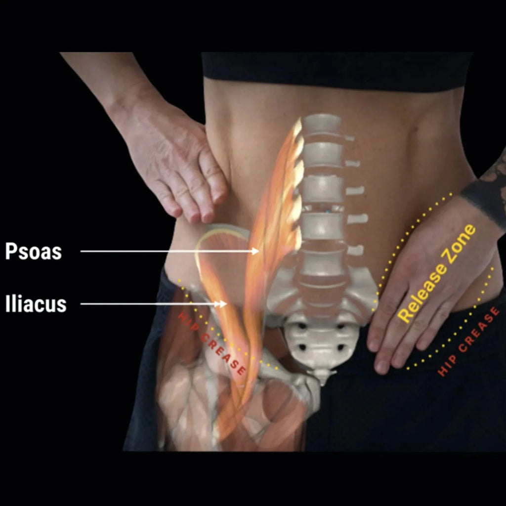 Hip Hook — Liberador de Flexores de Cadera (+ Orbit y App) | Hip Hook System