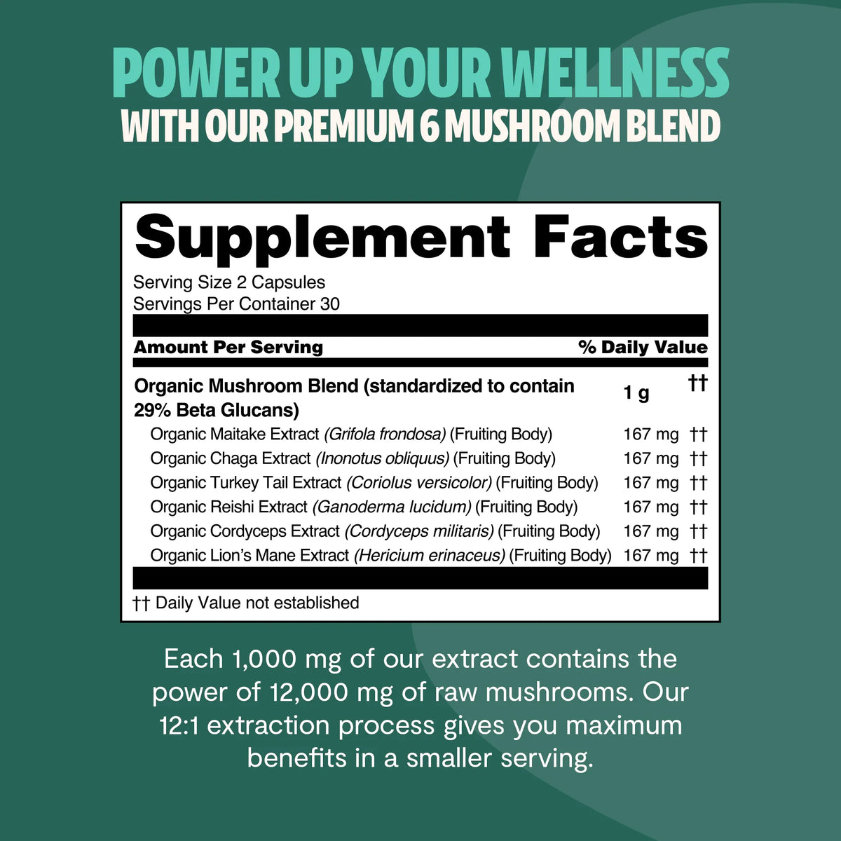 Suplemento de Hongos Orgánico — 6 Hongos | Organic Mushroom Complex Capsules