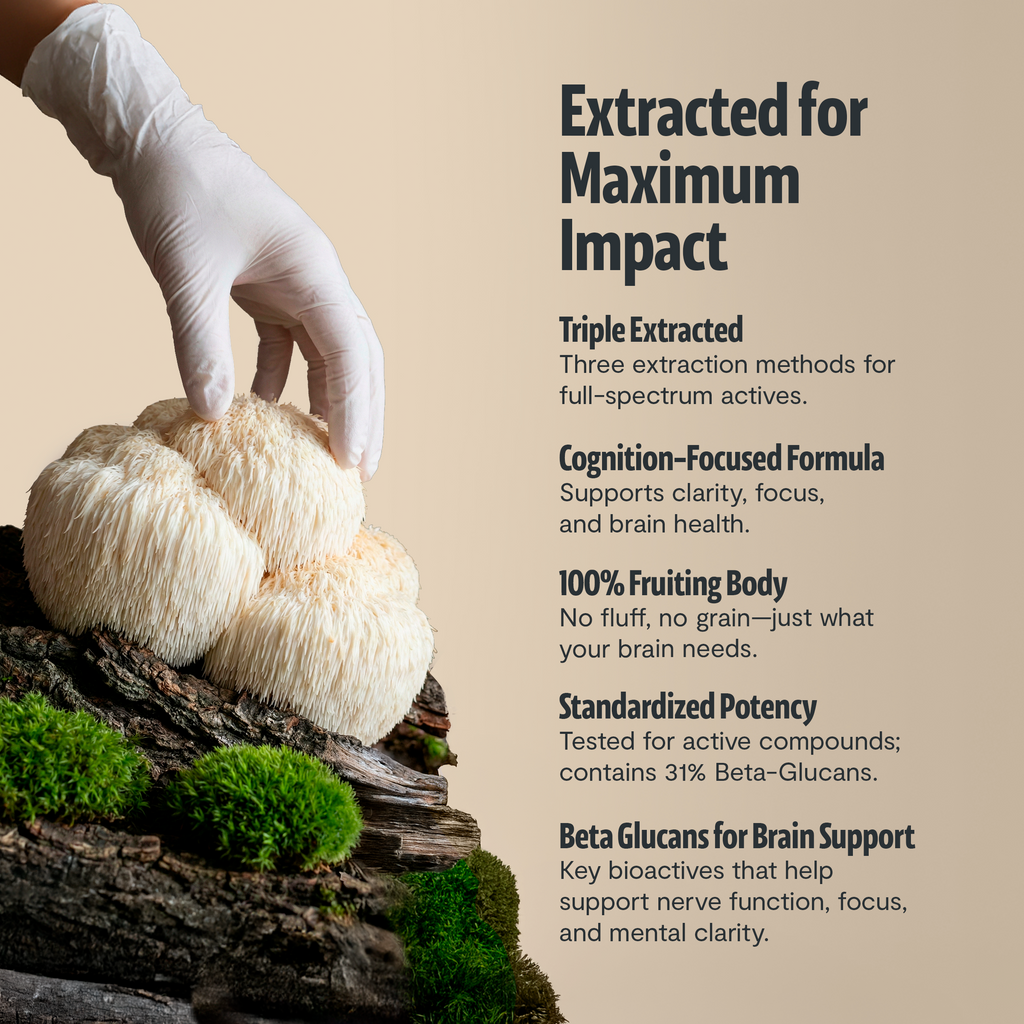 Suplemento de Hongos Orgánico — 6 Hongos | Organic Mushroom Complex Capsules