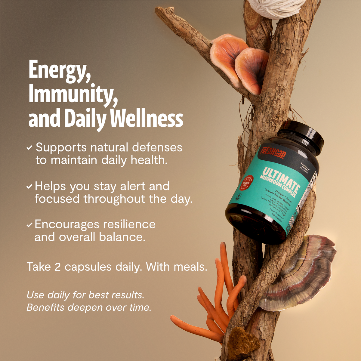 Suplemento de Hongos Orgánico — 6 Hongos | Organic Mushroom Complex Capsules