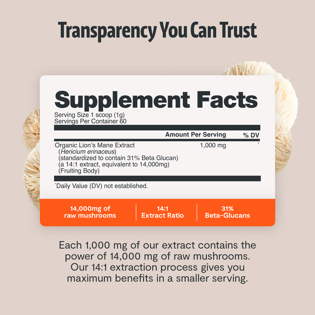 Suplemento de Hongos Orgánico — 6 Hongos | Organic Mushroom Complex Capsules