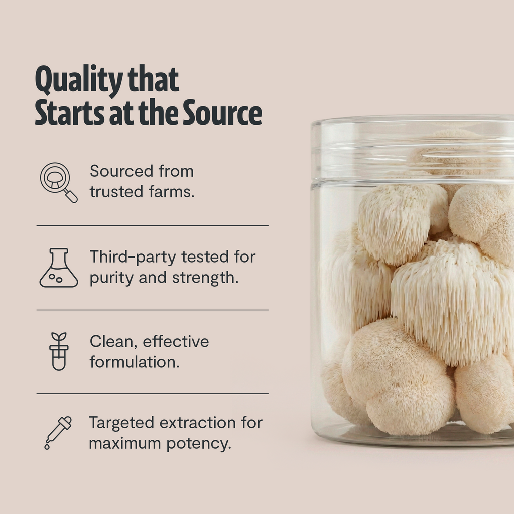 Suplemento de Hongos Orgánico — 6 Hongos | Organic Mushroom Complex Capsules