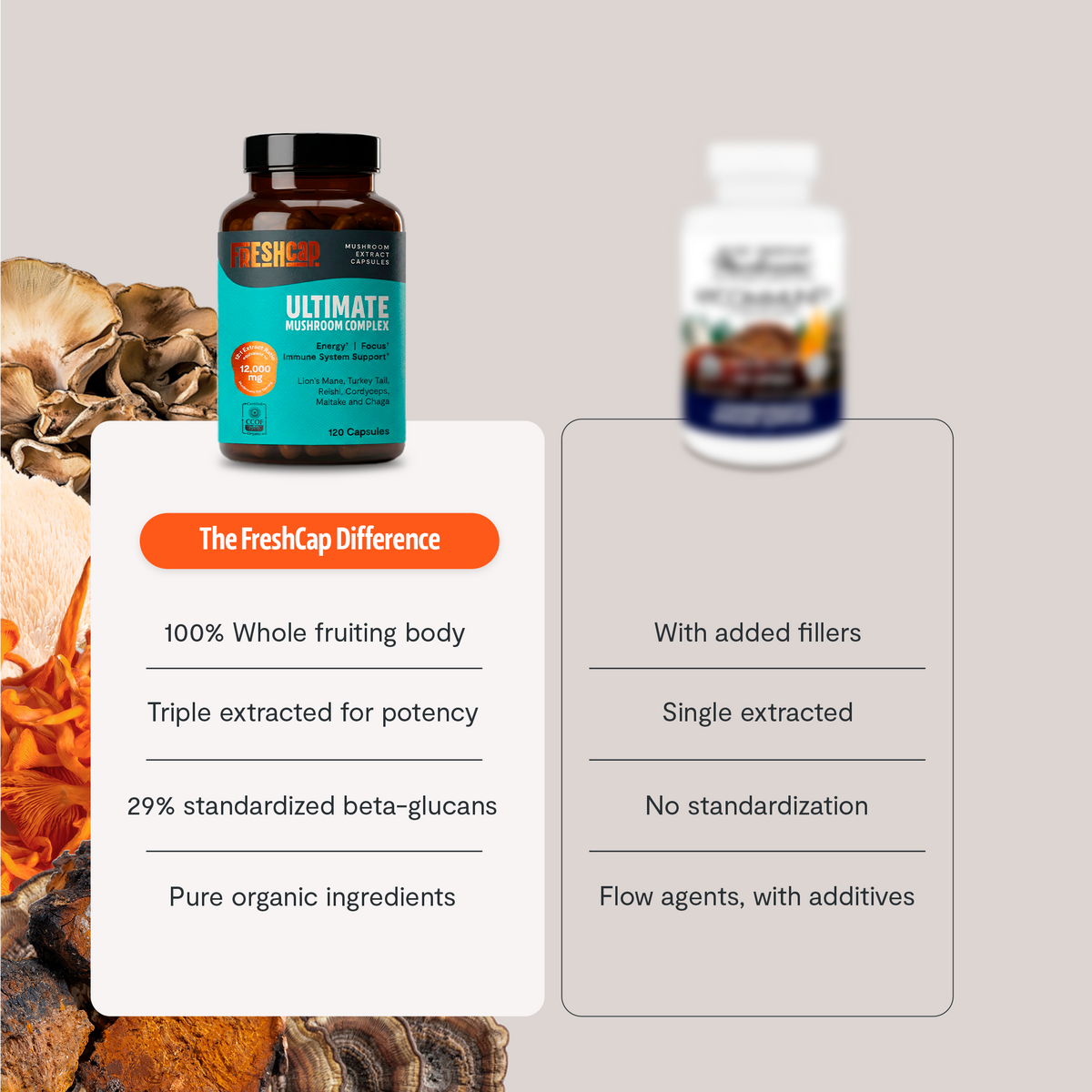 Suplemento de Hongos Orgánico — 6 Hongos | Organic Mushroom Complex Capsules