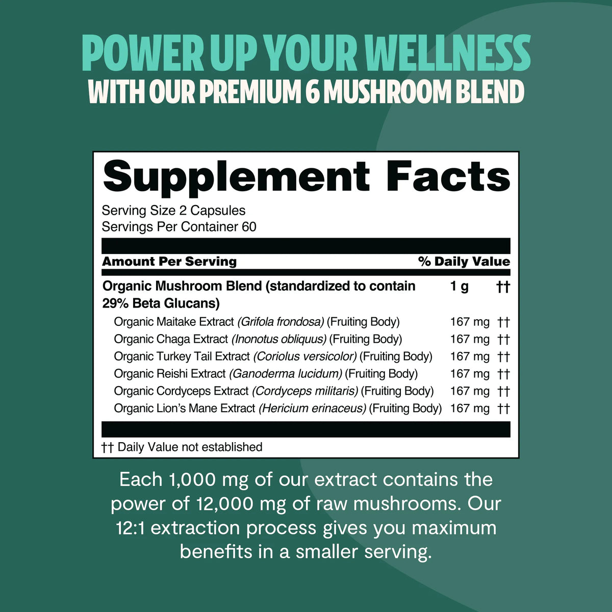 Suplemento de Hongos Orgánico — 6 Hongos | Organic Mushroom Complex Capsules