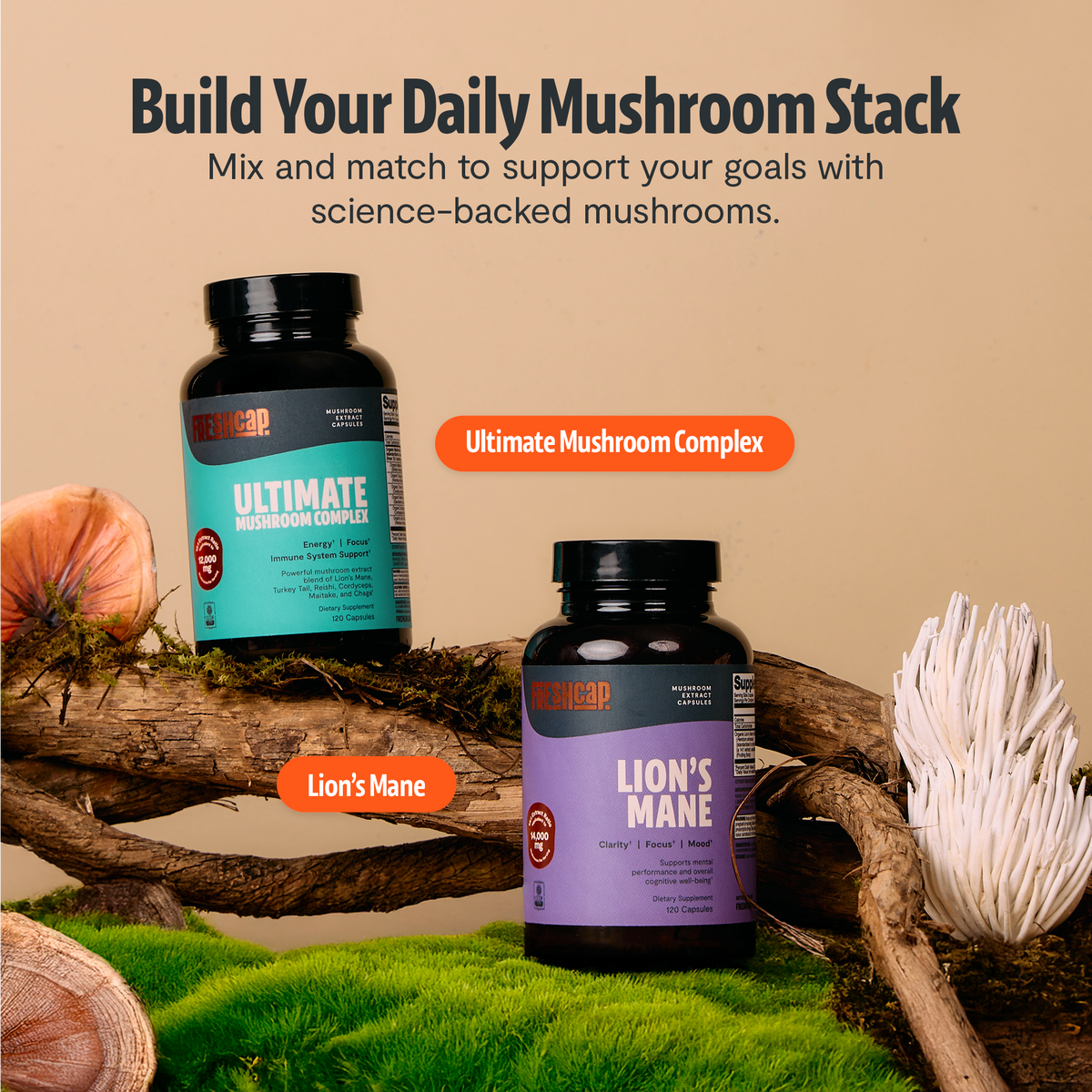 Suplemento de Hongos Orgánico — 6 Hongos | Organic Mushroom Complex Capsules