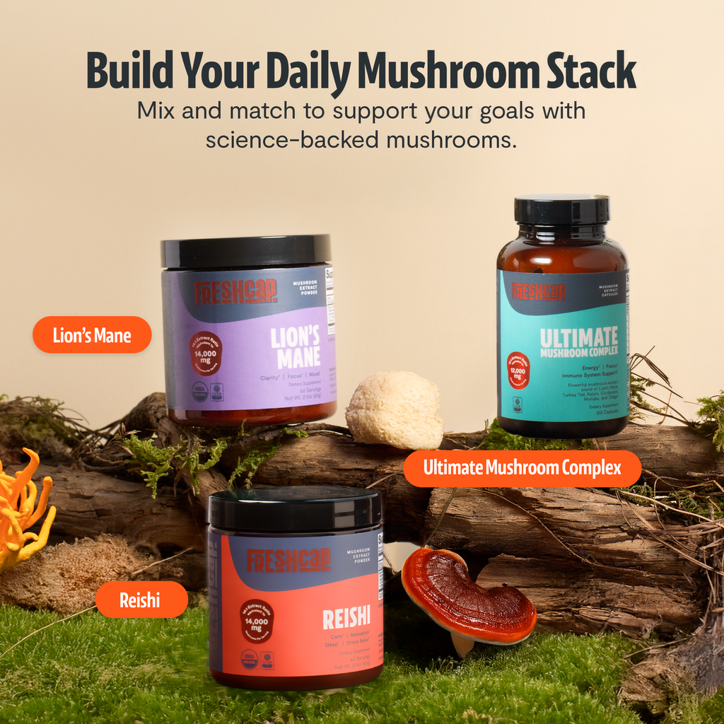 Suplemento de Hongos Orgánico — 6 Hongos | Organic Mushroom Complex Capsules